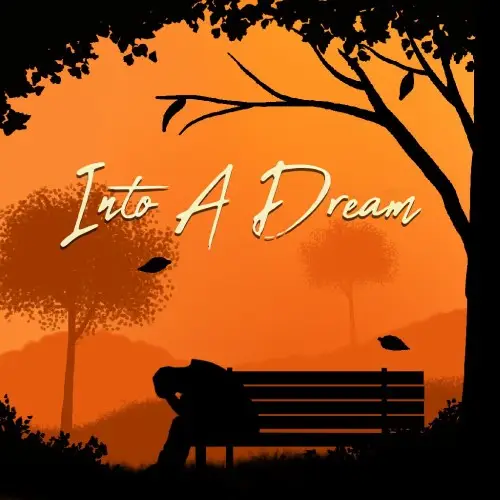 Into A Dream Nintendo Switch okładka gry