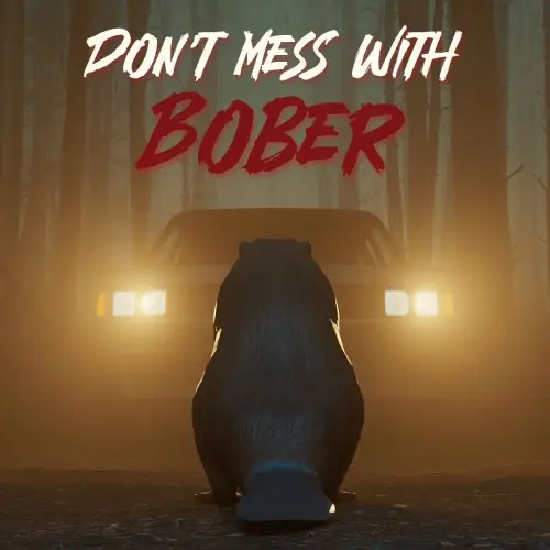 Don't Mess With Bober Nintendo Switch okładka gry