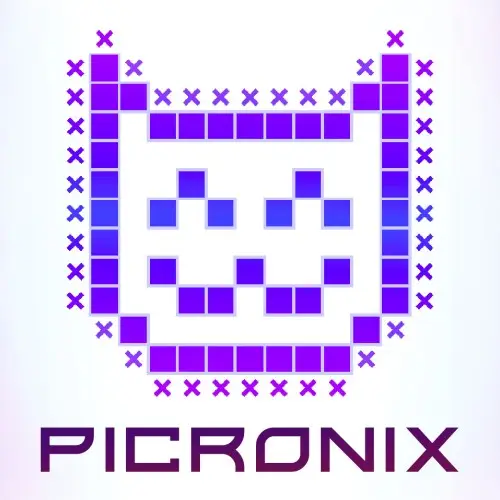 Picronix Nintendo Switch okładka gry