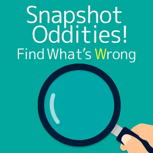 Snapshot Oddities ! Find What’s Wrong Nintendo Switch okładka gry